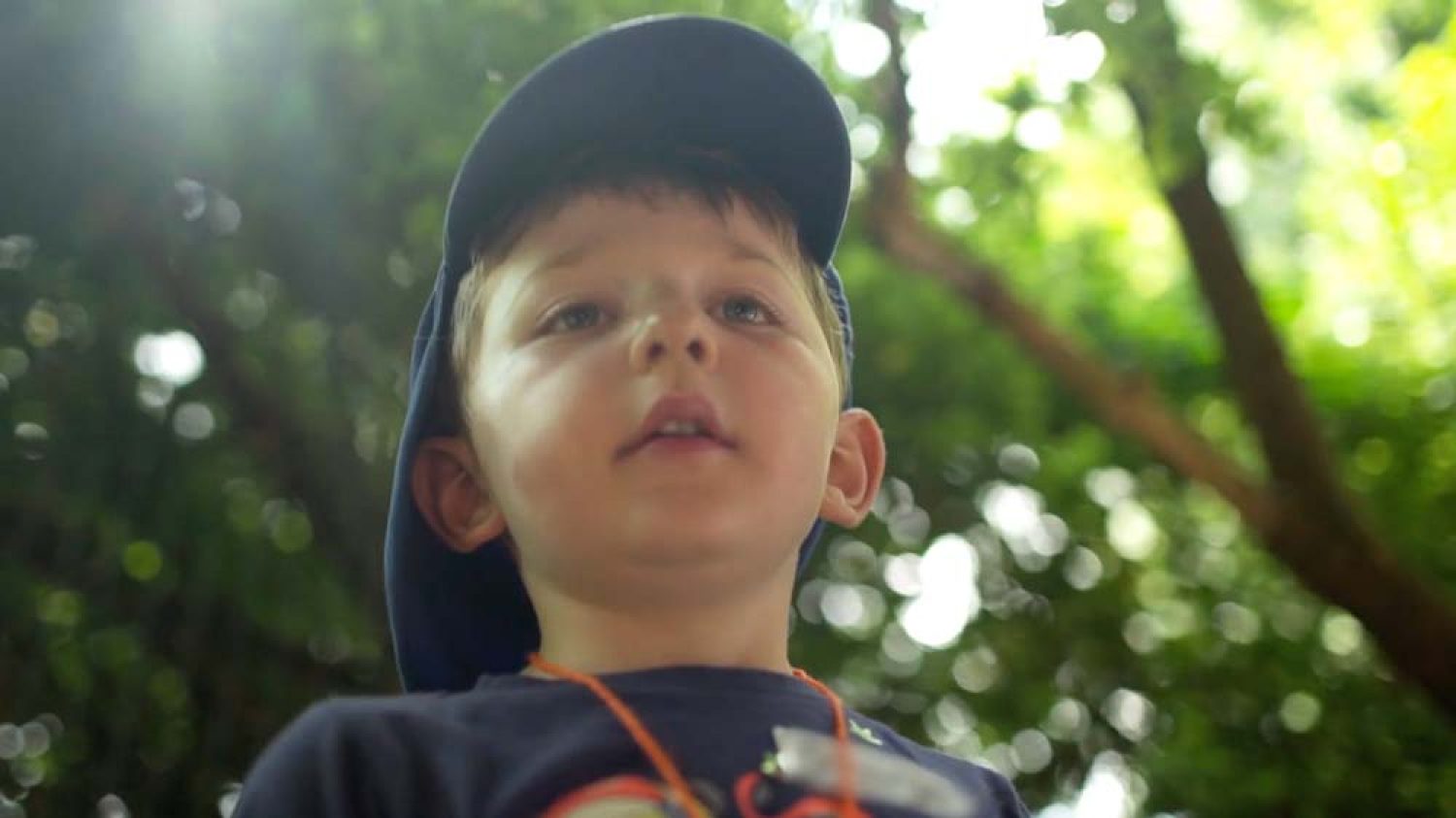 Stibbard School Video