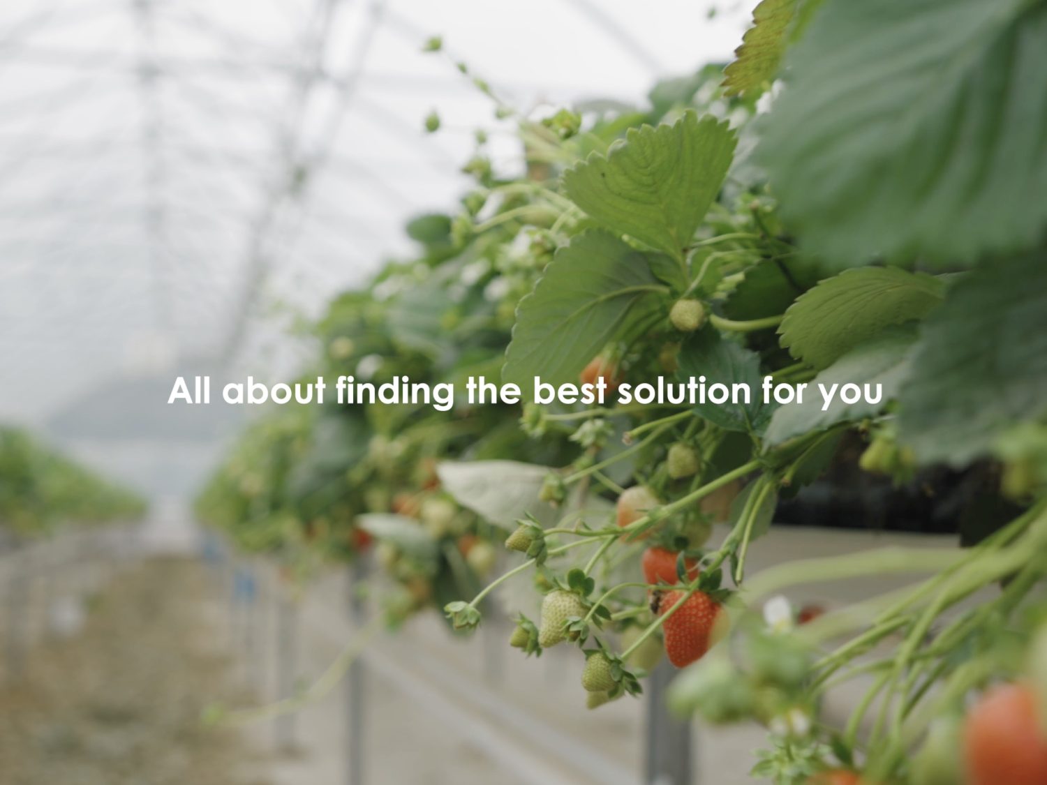 PlaceUK Presentaion Video