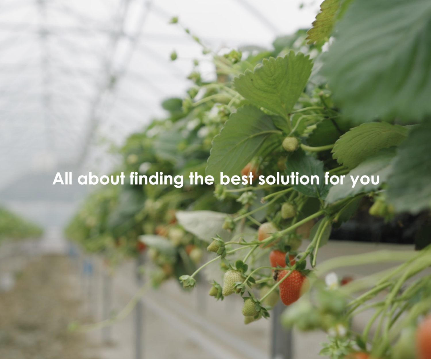 PlaceUK Presentaion Video