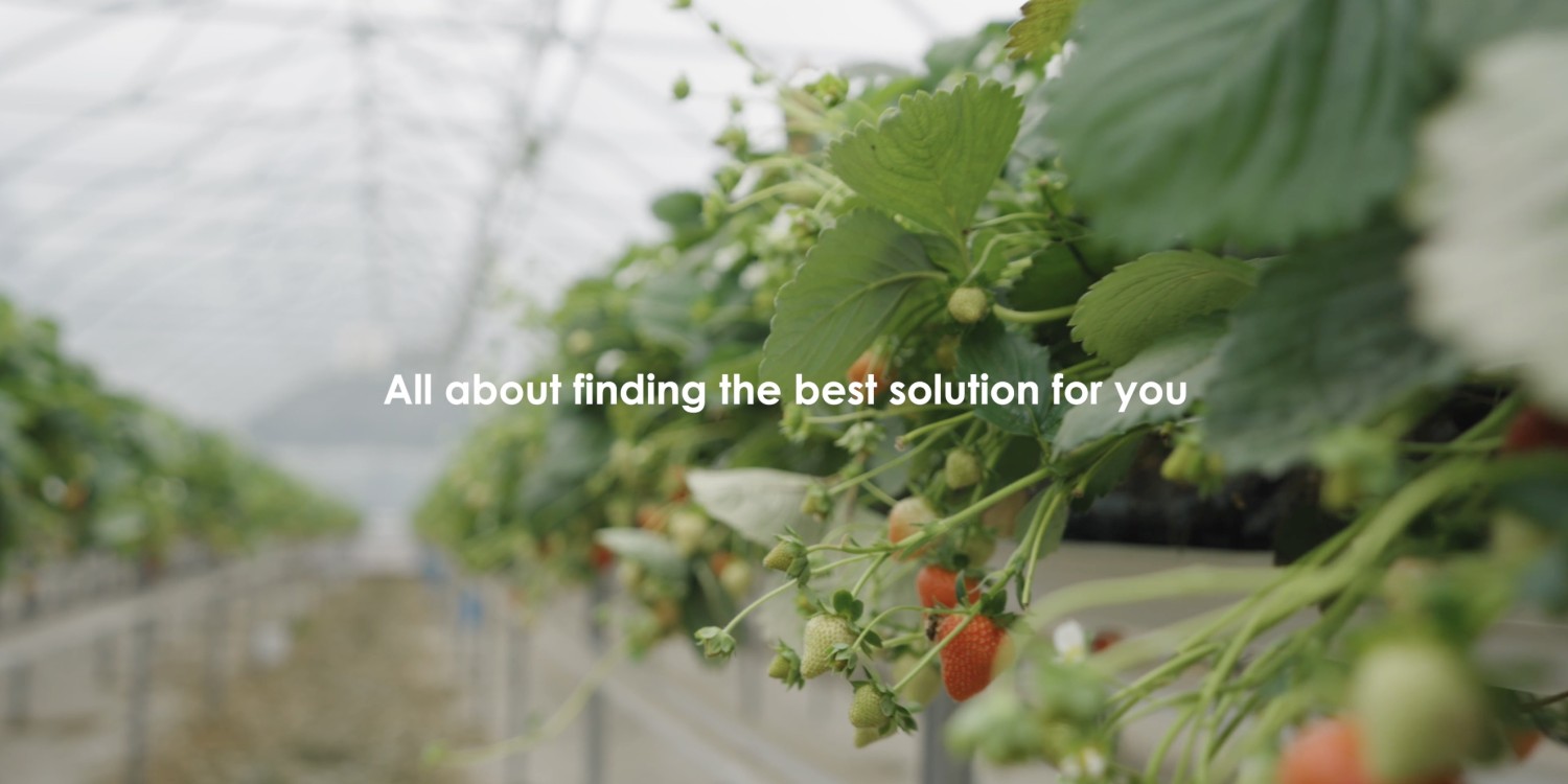 PlaceUK Presentaion Video